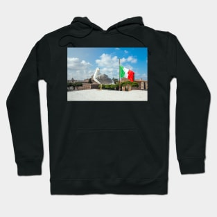 seagull at the top of palace in Piazza Venezia in Roma, Italy Hoodie